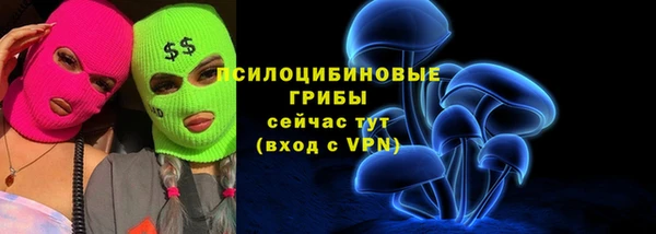 apvp Абинск
